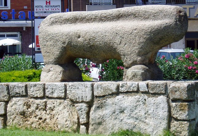 Toro de piedra de origen vacceo. Toro de piedra de origen vacceo.